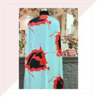 Light Blue and Red Satin Georgette Dress